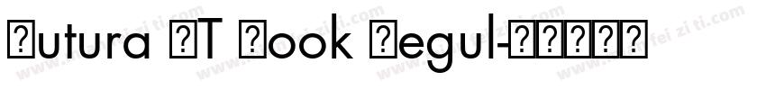 Futura LT Book Regul字体转换